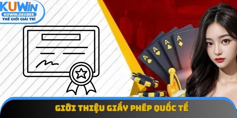 Giới thiệu giấy phép quốc tế Giới thiệu giấy phép quốc tế