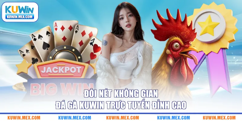 Đôi nét không gian đá gà KUWIN trực tuyến đỉnh cao