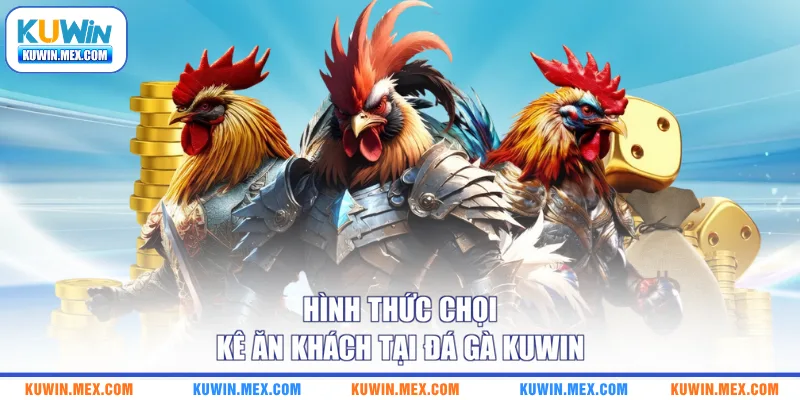 Hình thức chọi kê ăn khách tại đá gà KUWIN