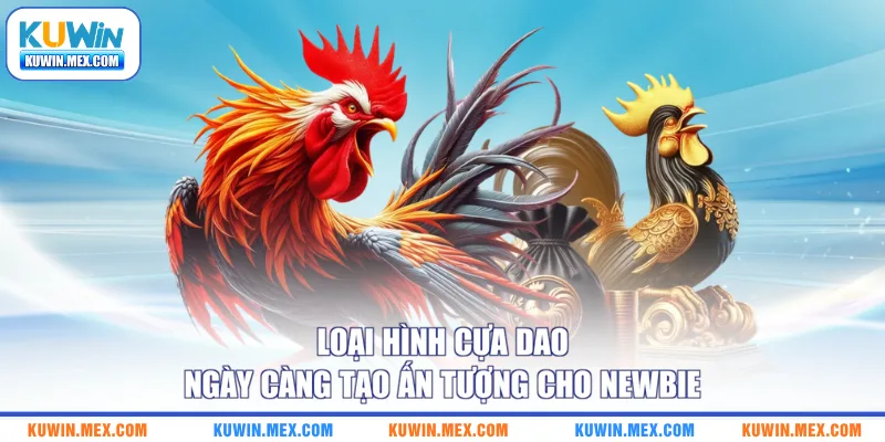 Loại hình cựa dao ngày càng tạo ấn tượng cho newbie