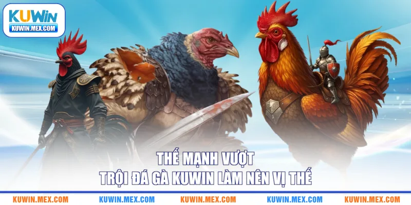 Thế mạnh vượt trội đá gà KUWIN làm nên vị thế